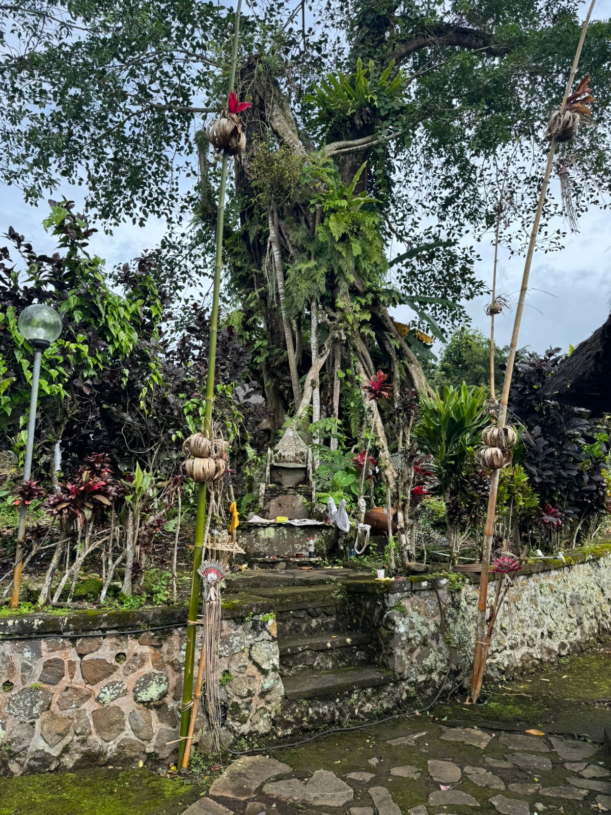 Lumpang